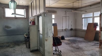 Taller de 260 m² a Sax (03630)