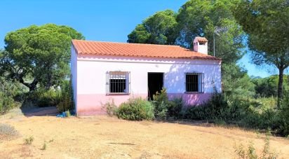 Terreny de 14.359 m² a Villablanca (21590)