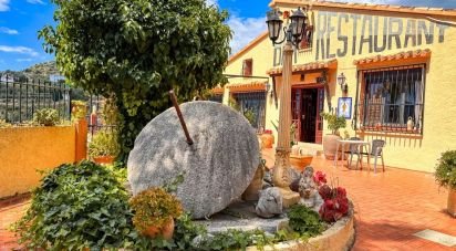 Boutique/Local commercial de 557 m² à Tarbena (03518)