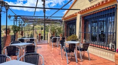 Boutique/Local commercial de 557 m² à Tarbena (03518)