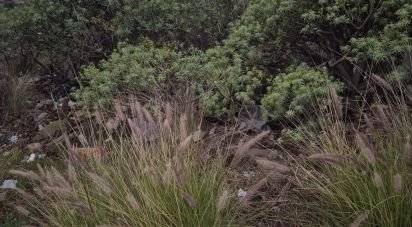 Terrain de 207 m² à El Sobradillo (38107)