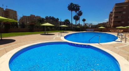 Apartment 2 bedrooms of 56 m² in Oropesa/Oropesa del Mar (12594)