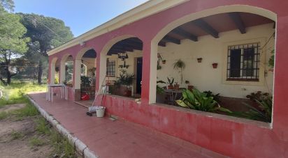 Terreny de 9.275 m² a Villablanca (21590)