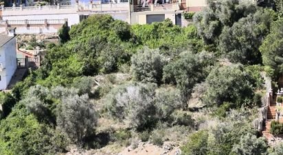 Terrain de 933 m² à Segur de Calafell (43882)