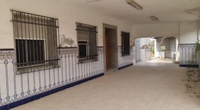 Casa 3 habitacions de 847 m² a Crevillent (03330)