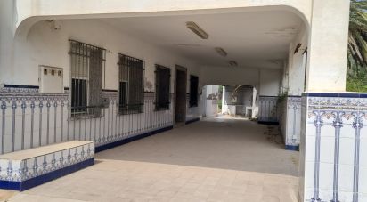 Maison 3 chambres de 847 m² à Crevillent (03330)