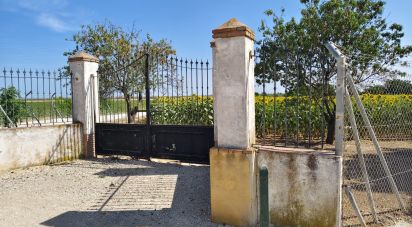 Terreno agricola de 21.286 m² en Écija (41400)