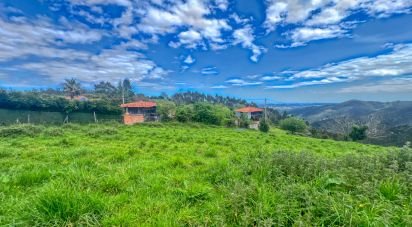 Terrain de 7 459 m² à Pulide (33456)