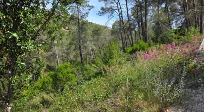 Terrain de 2 259 m² à Olesa de Bonesvalls (08795)