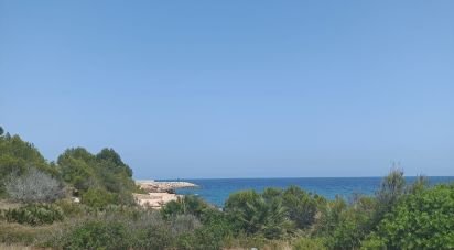 Terrain de 1 100 m² à L'Ametlla de Mar (43860)