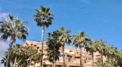 Appartement 2 chambres de 65 m² à Oropesa/Oropesa del Mar (12594)
