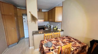 Appartement 2 chambres de 79 m² à Torreblanca (12596)