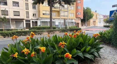 Boutique/Local commercial de 508 m² à Playa de Tavernes de La Valldigna (46760)