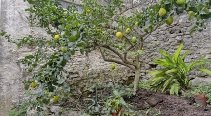 Maison de village 2 chambres de 400 m² à La Vall de Laguar (03791)