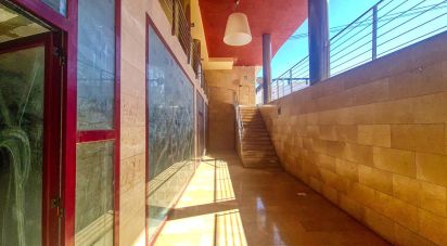 Boutique/Local commercial de 458 m² à Pego (03780)