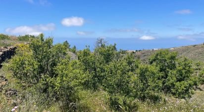 Terrain de 11 000 m² à Taucho (38677)
