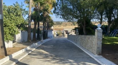 Hisenda / Cortijo 5 habitacions de 658 m² a Chiclana de la Frontera (11130)