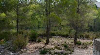 Terrain de 3 600 m² à L'Ametlla de Mar (43860)