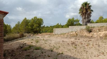 Terrain de 3 600 m² à L'Ametlla de Mar (43860)