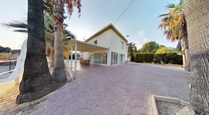 Châlet 6 chambres de 357 m² à Elx/Elche (03205)