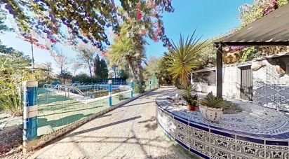 Casa de muntanya 4 habitacions de 301 m² a Crevillent (03330)