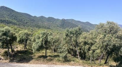 Apartment in house 0 bedrooms of 430 m² in Artana (12527)