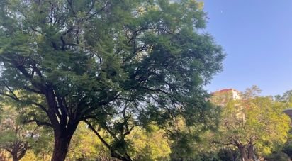 Appartement 3 chambres de 75 m² à Sevilla (41013)