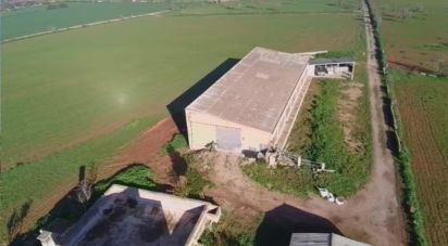 Superfície variada de 450 m² a Campos (07630)