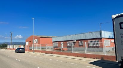 Surface diverse de 1 500 m² à Vinaros (12500)