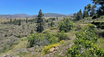 Terrain de à La Quinta (38677)