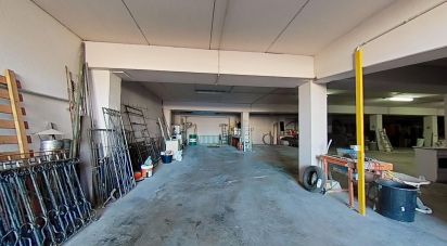 Botiga / Local comercial de 4.187 m² a L'Espluga de Francoli (43440)
