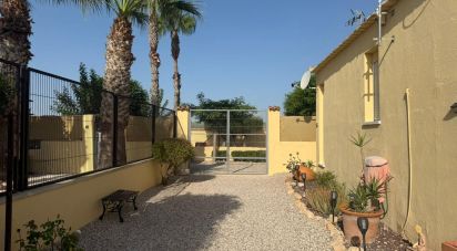 Cottage 1 bedroom of 98 m² in Elx/Elche (03294)