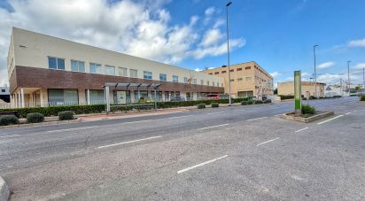 Immeuble de 8 738 m² à Castellón de la Plana/Castelló de la Plana (12003)