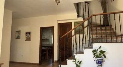 Cottage 4 bedrooms of 175 m² in El Puerto de Santa María (11500)