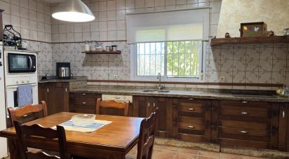Cottage 4 bedrooms of 175 m² in El Puerto de Santa María (11500)
