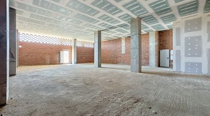 Tienda / local comercial de 227 m² en Badalona (08912)