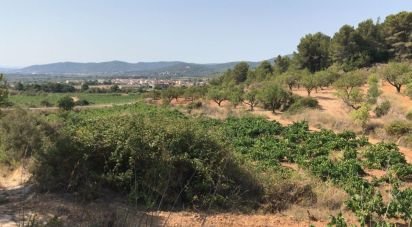 Terrain de 12 700 m² à La Bisbal del Penedès (43717)