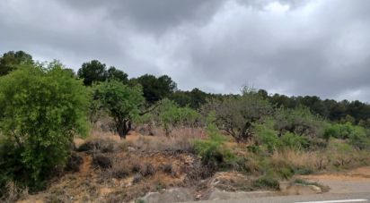 Terrain de 12 700 m² à La Bisbal del Penedès (43717)