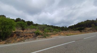 Terrain de 12 700 m² à La Bisbal del Penedès (43717)