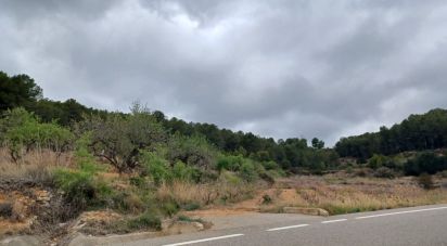 Terrain de 12 700 m² à La Bisbal del Penedès (43717)