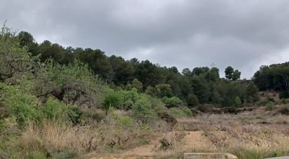 Terrain de 12 700 m² à La Bisbal del Penedès (43717)