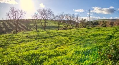 Terreno de 20.342 m² en Ardales (29550)