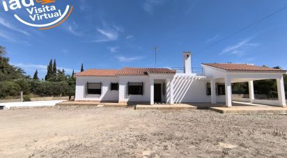 Cottage 4 bedrooms of 271 m² in Elx/Elche (03290)