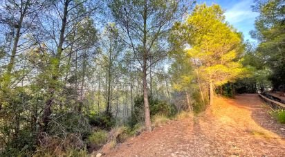 Building plot of 4,006 m² in Ador (46729)