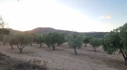 Terreny de 18.088 m² a Salinas (03638)