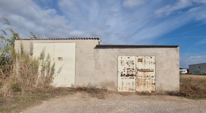 Terreny de 5.677 m² a Sant Jaume d'Enveja (43877)