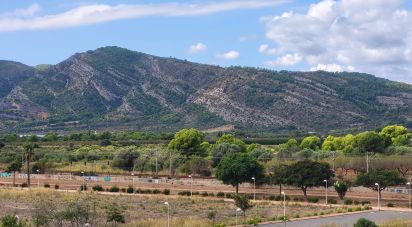 Piso 2 habitaciones de 61 m² en Oropesa/Oropesa del Mar (12594)