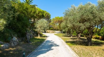 Mas 5 bedrooms of 949 m² in Sant Andreu de Llavaneres (08392)