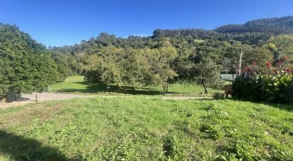 Terrain de 871 m² à Pulide (33456)