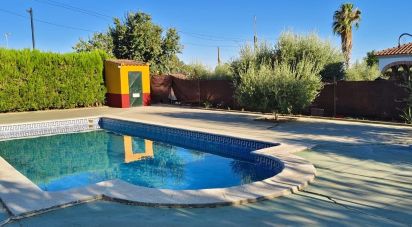 Terreno de 5.201 m² en Lora del Río (41440)